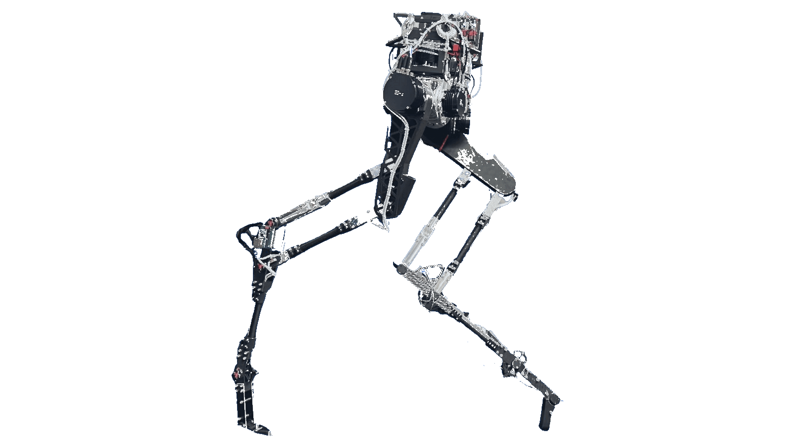 Development of the Legged Robot Forrest