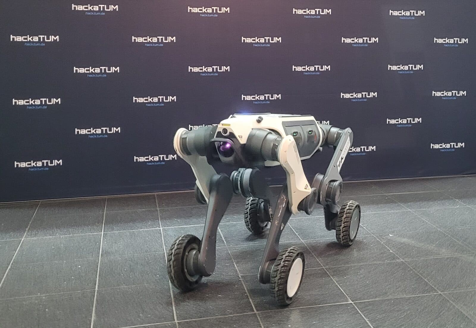 PUMA quadruped robot in the field